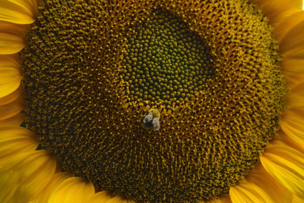 Photograph by Лилия Кондратьева