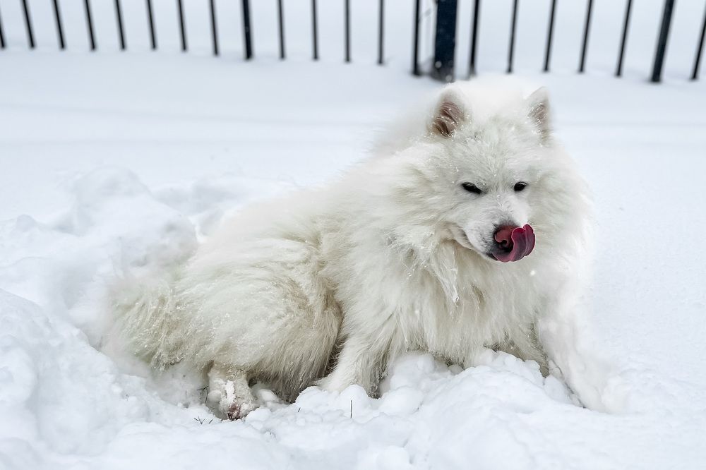 Photograph by Никита Борзов