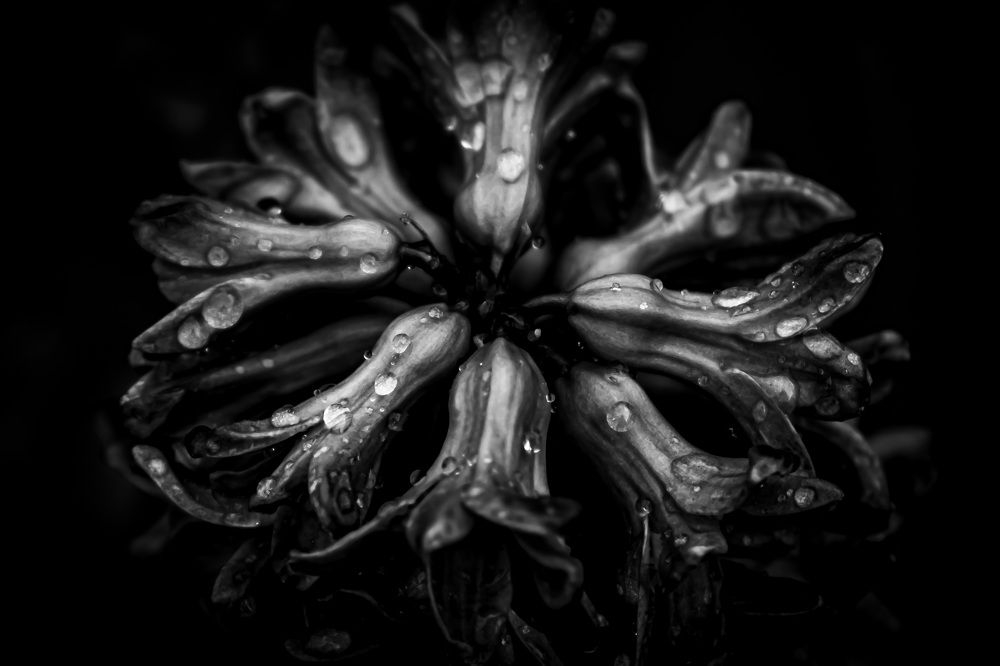 Photograph by Никита Борзов