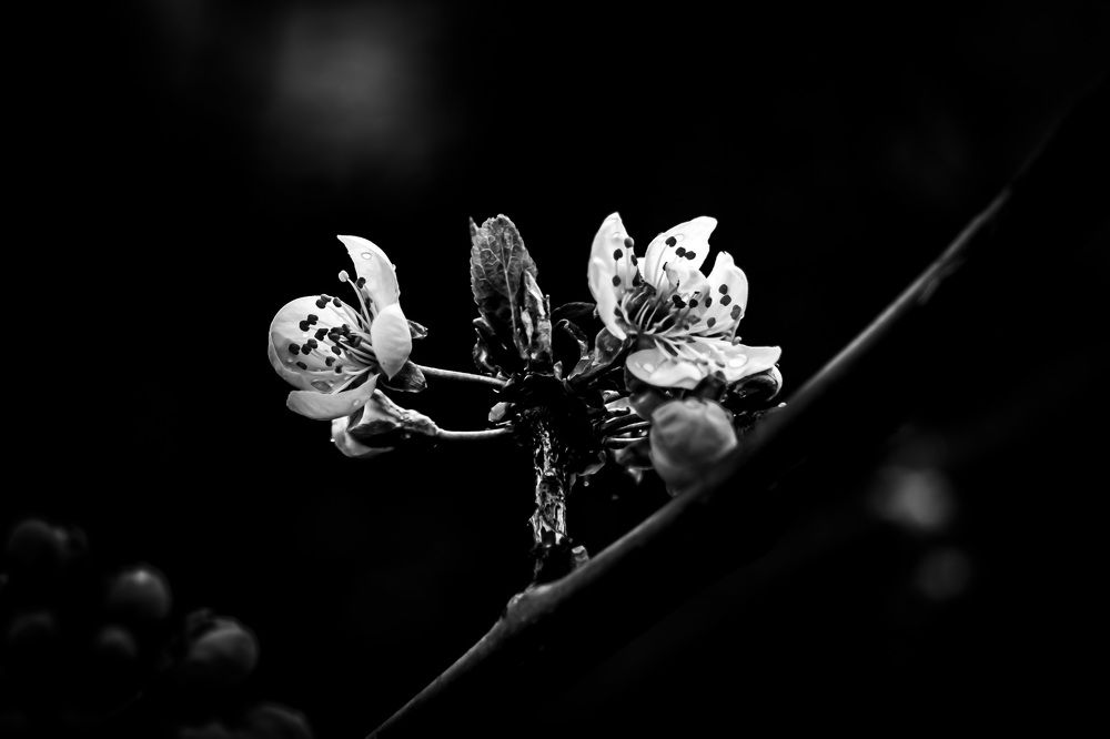 Photograph by Никита Борзов