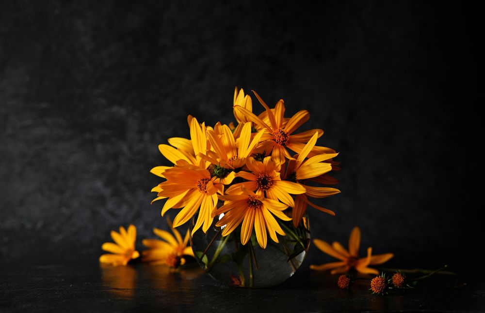 Photograph by Светлана Вербицкая