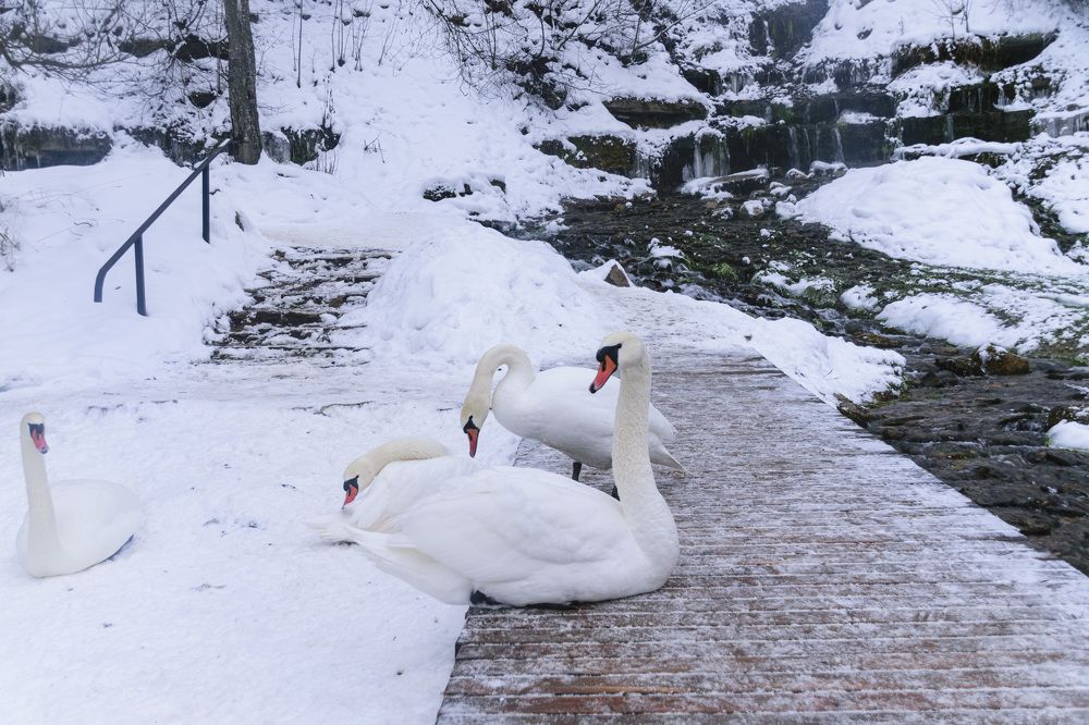 Photograph by Лилия Кондратьева