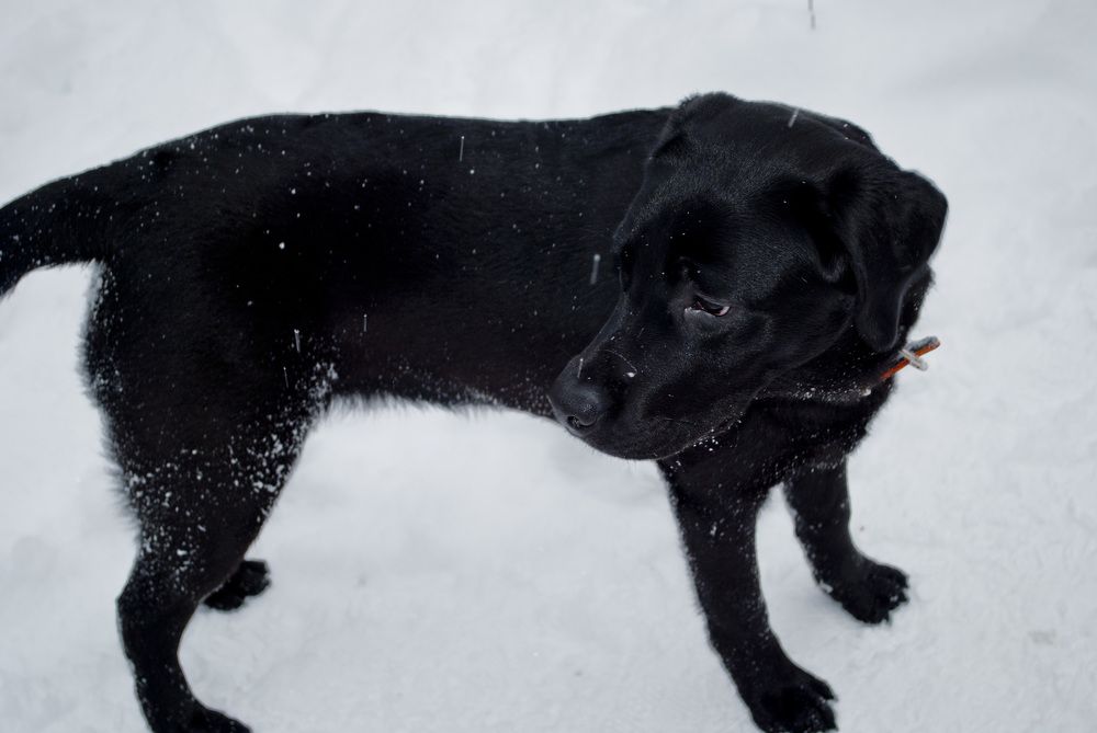 Photograph by Лилия Кондратьева