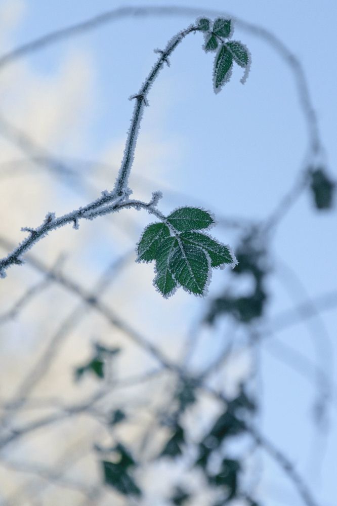 Photograph by Лилия Кондратьева