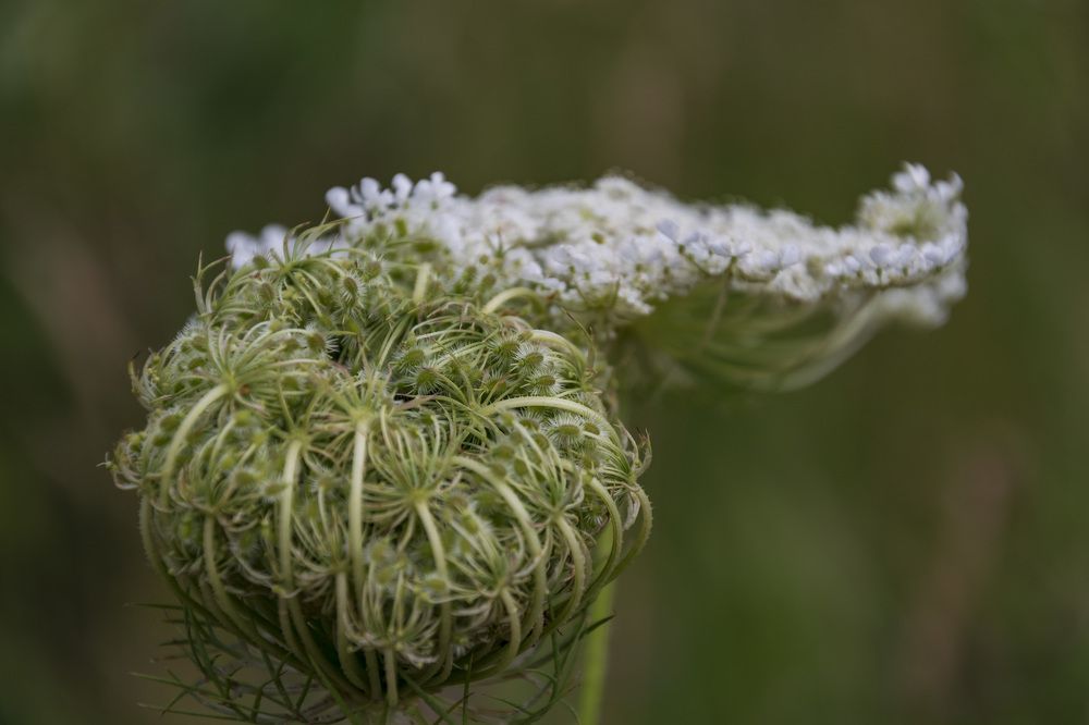 Photograph by Лилия Кондратьева