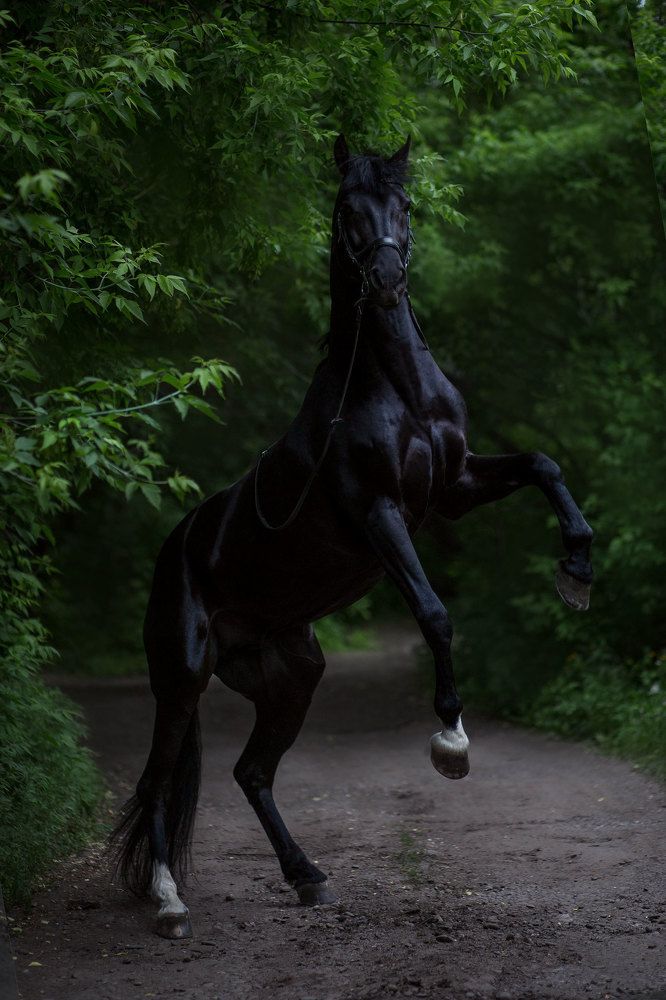 Photograph by Похабова Любовь