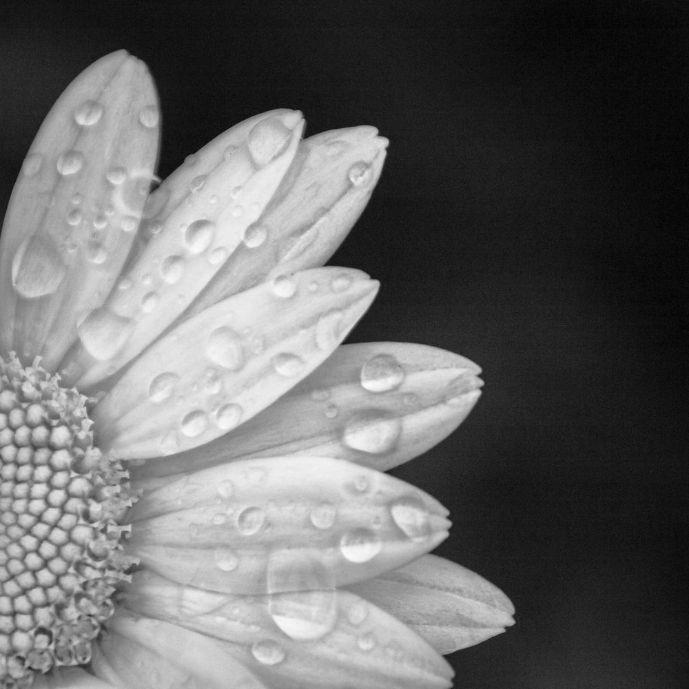 Photograph by Татьяна Романова