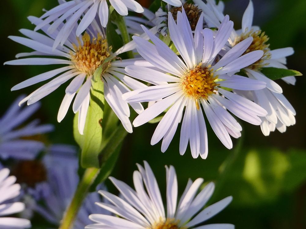 Photograph by Александр Кизим