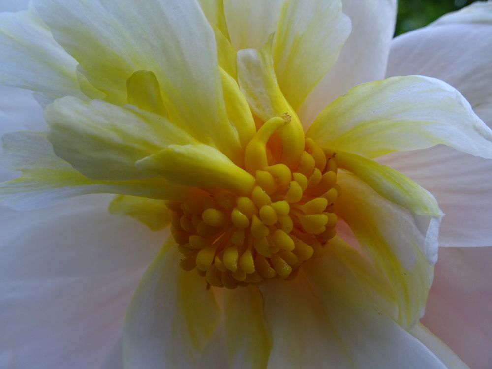 Photograph by Мила Милая