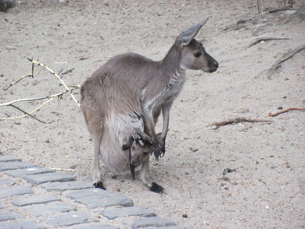 Photograph by Мила Милая