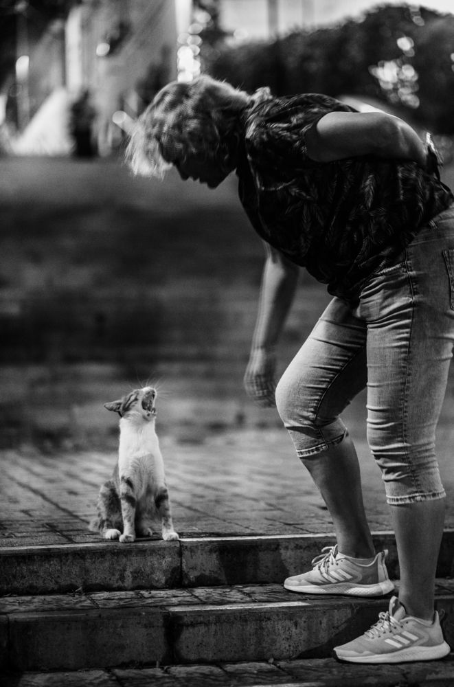 Photograph by Сергей Стариков