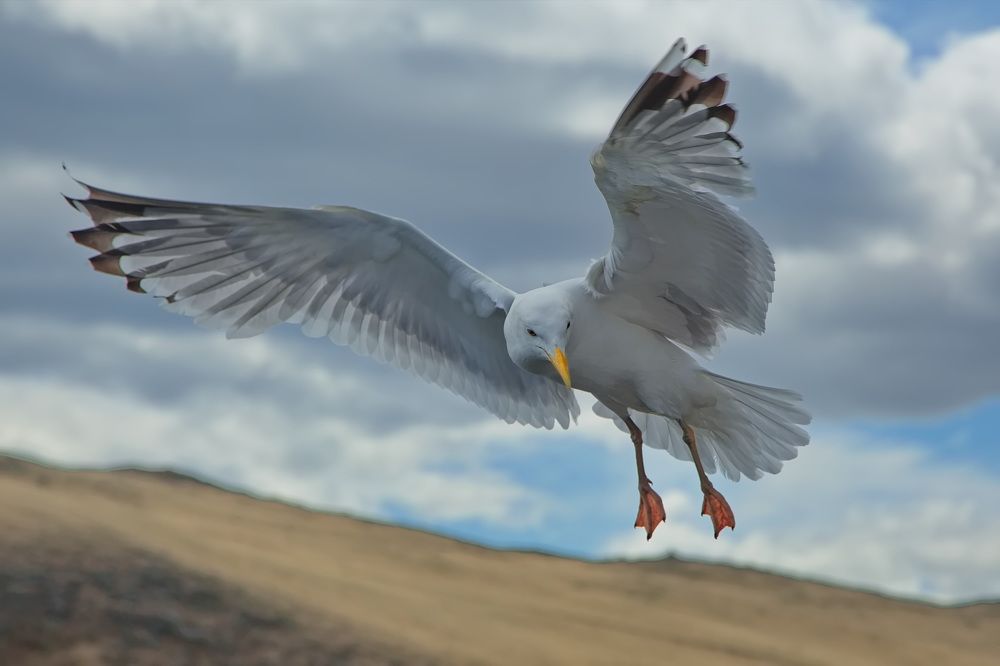 Photograph by Олег Раков