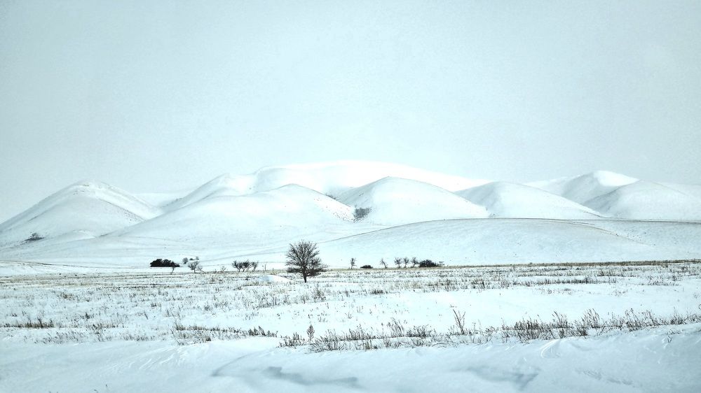 Photograph by Наталья Анисимова