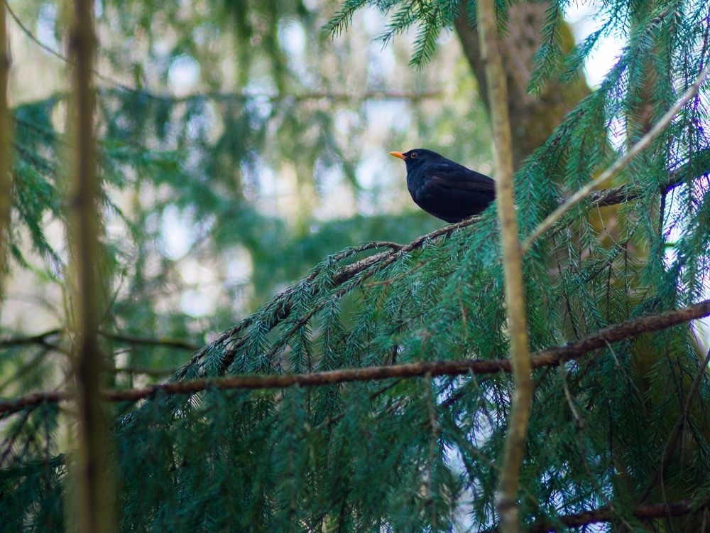 Photograph by Анастасия