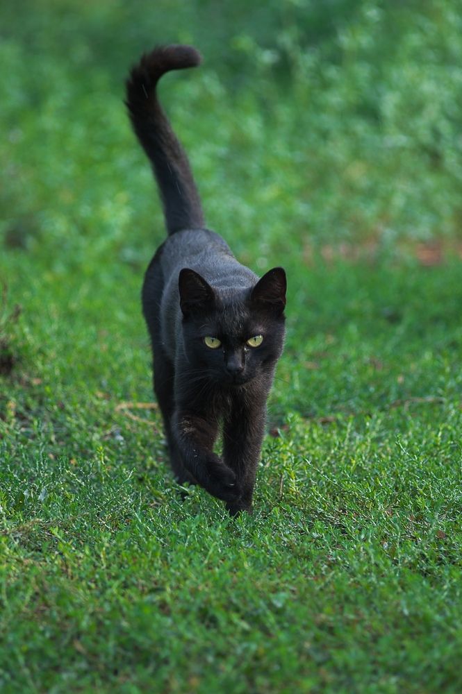 Photograph by Анастасия