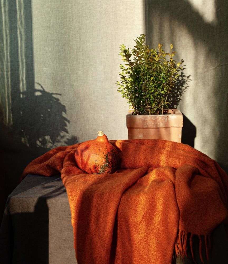 Фотография автора Galina Sa