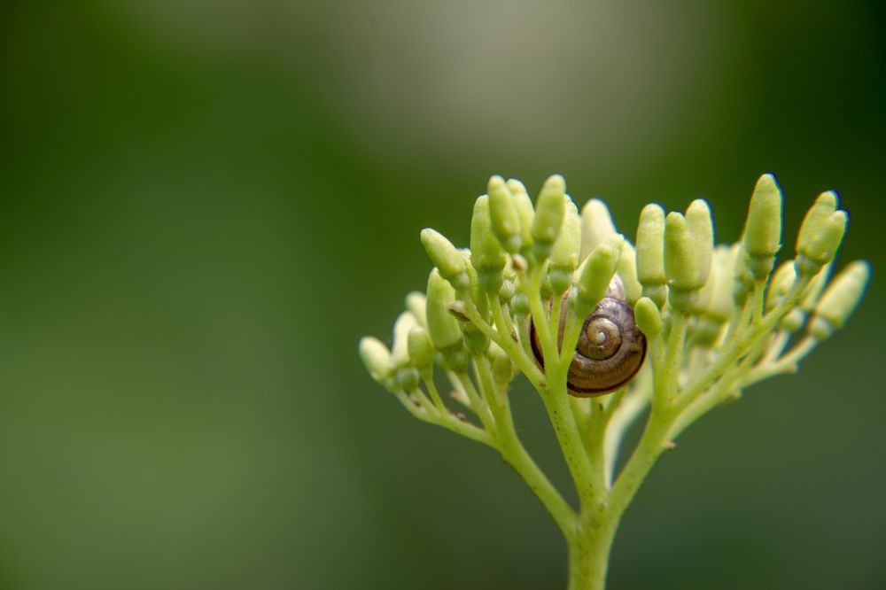 Photograph by Nicole Maria Oestreich