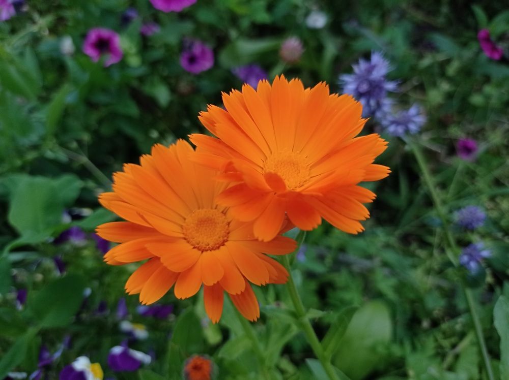 Photograph by Ирина Немкина