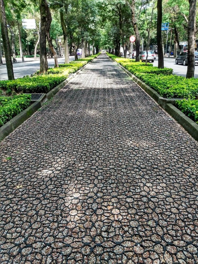 Photograph by José Luis Mendoza Machado