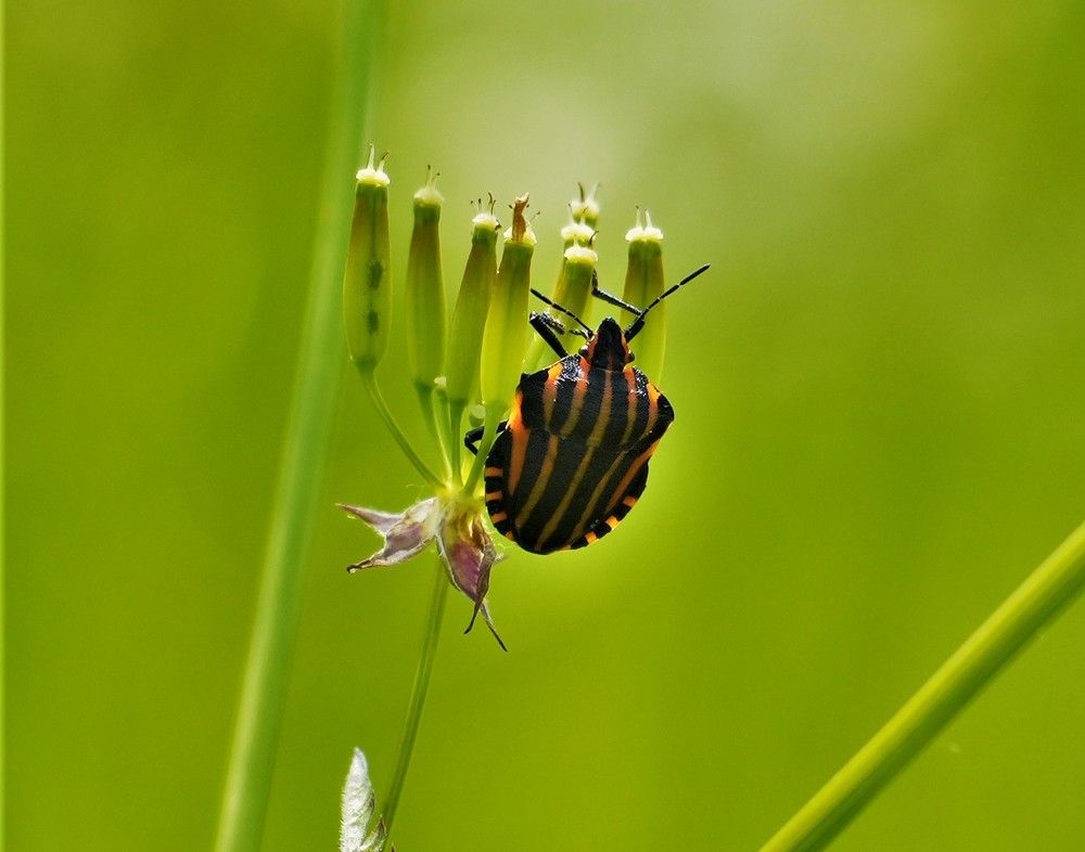 Photograph by Михаил Трусов