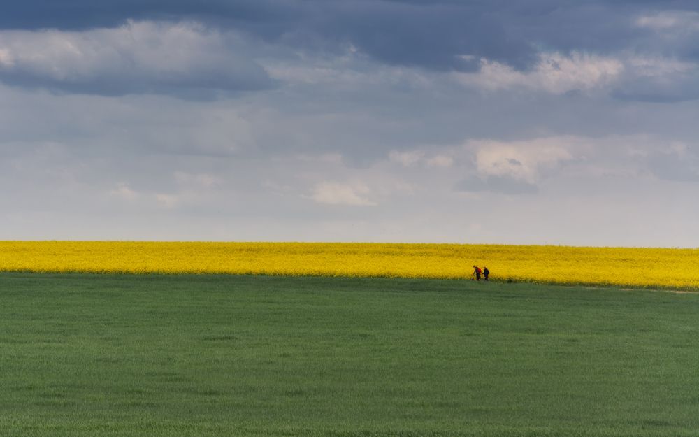 Photograph by Сергей Дишук