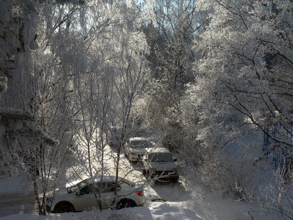 Зима в Пущино