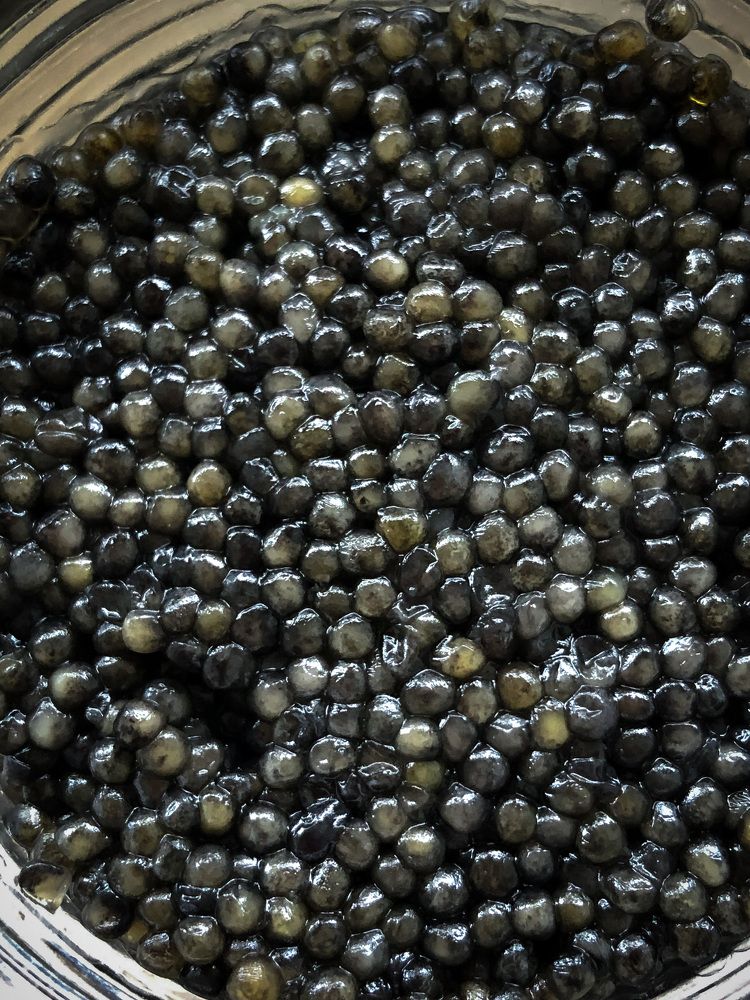 Photograph by Ольга Дубинкина