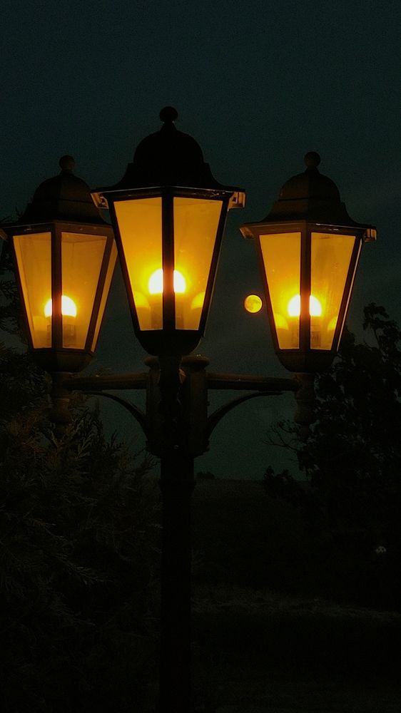 Photograph by Виктория Вялкова