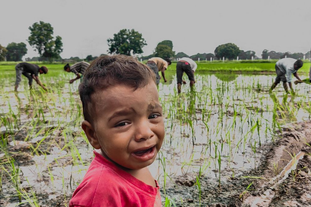 Farm in the monsoon
