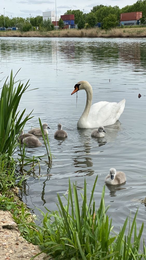 Photograph by Анастасия Куэлляр