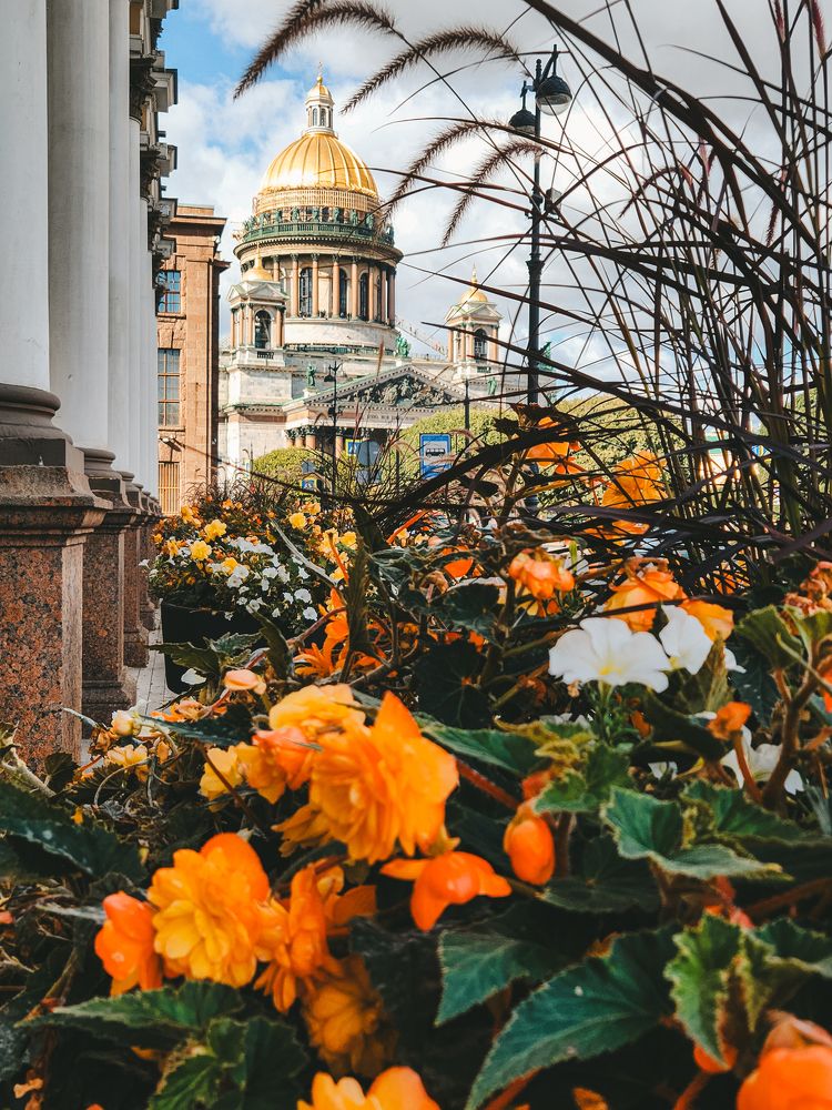 Photograph by Inna Iudina