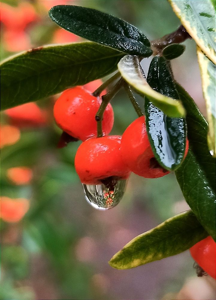 Photograph by Ольга Тихонова