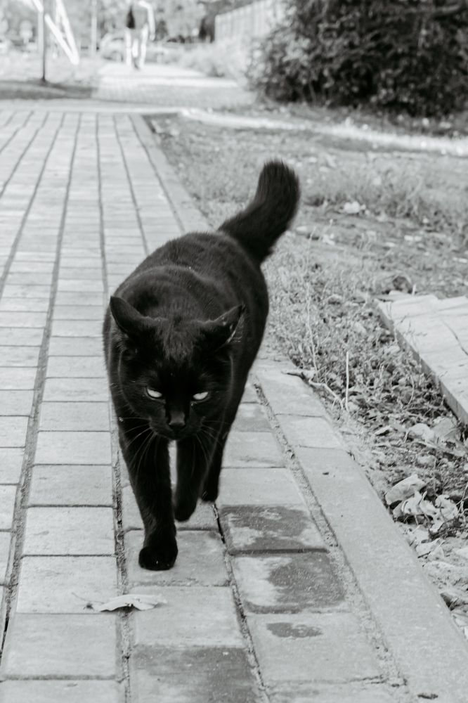 Photograph by Михаил Костыря