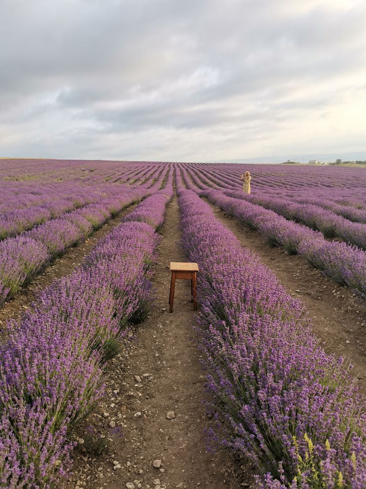 Photograph by Алена Горшкова