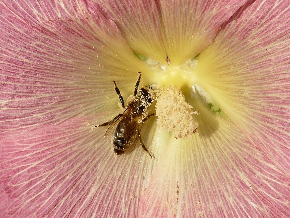 Photograph by Александр Кизим