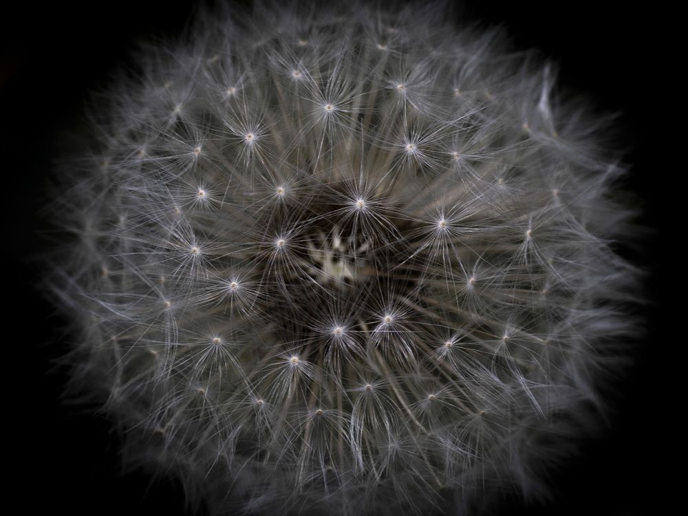 Photograph by Ирина Серегина