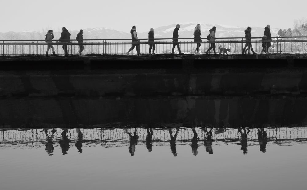 Нишката на живота