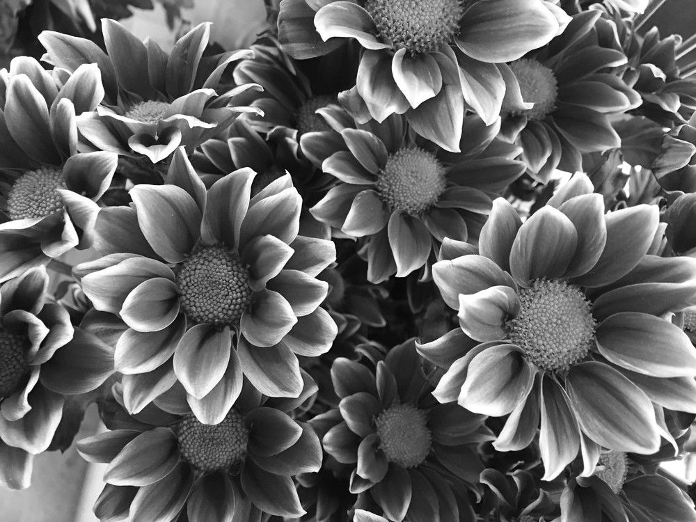 Photograph by Андрей Елькин