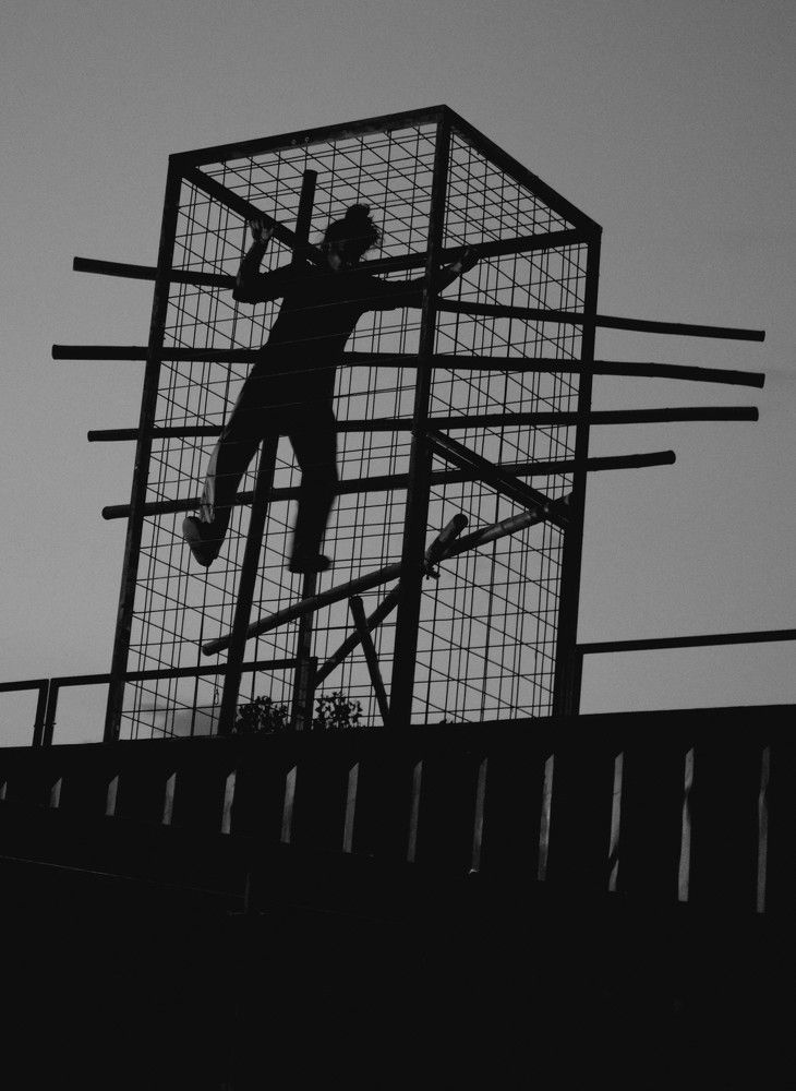 Изкуството в защита на природата