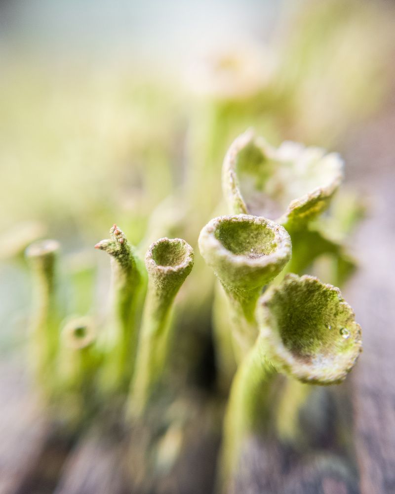 Photograph by Алексей Крукович