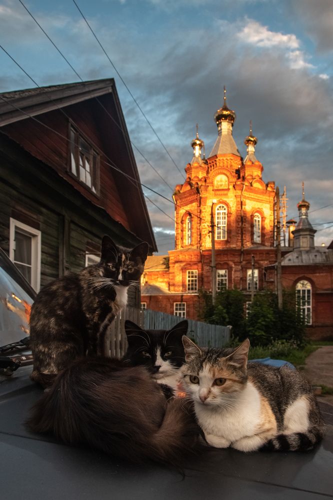 Photograph by Ольга Александрова