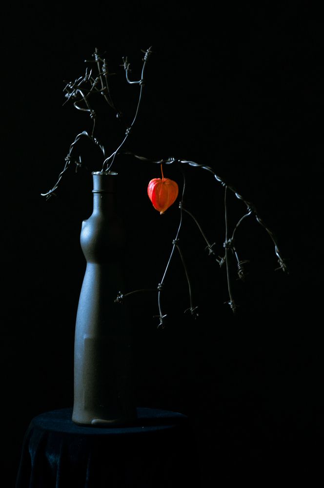 Photograph by Новиков Владимир