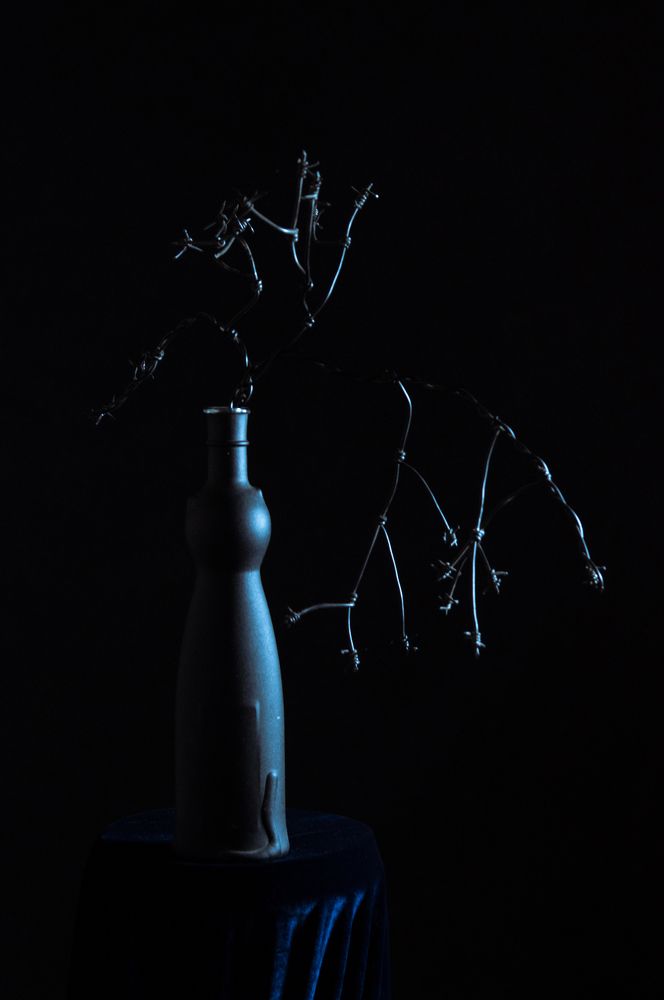 Photograph by Новиков Владимир