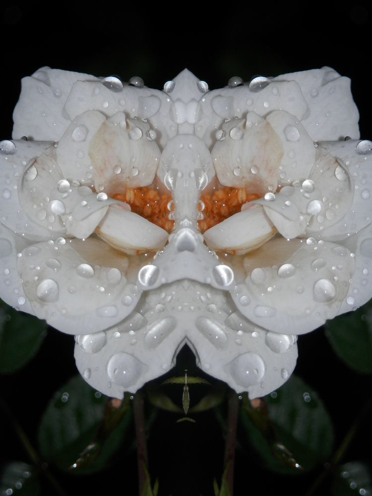 Photograph by Георгий Салюков