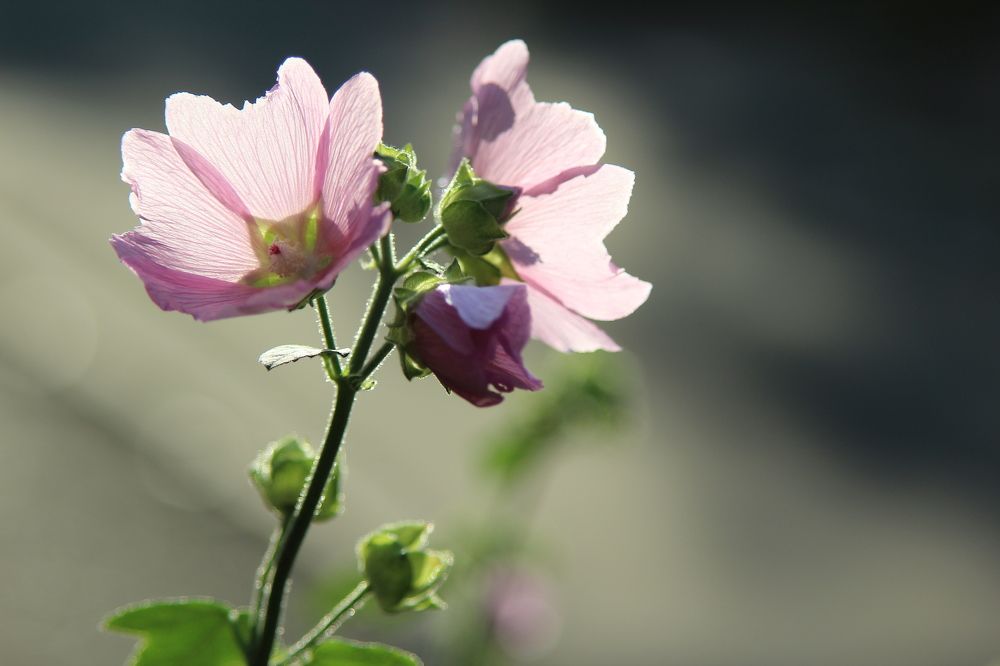 Photograph by Наталья Волкова