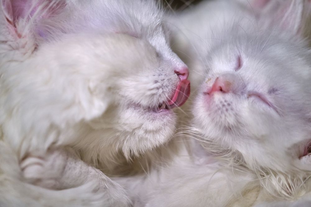 Photograph by Руслан Ибрагимов