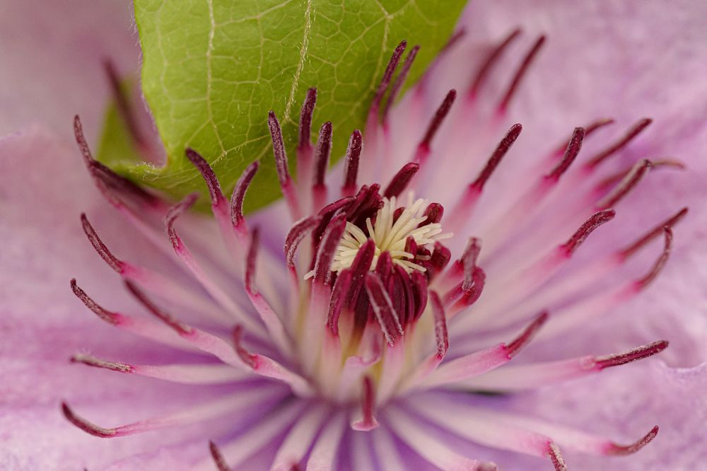 Photograph by Алфия Бугакова