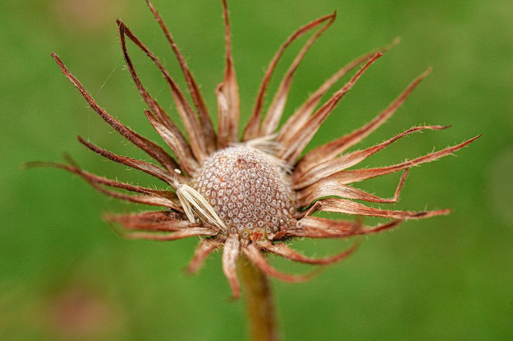 Photograph by Алфия Бугакова