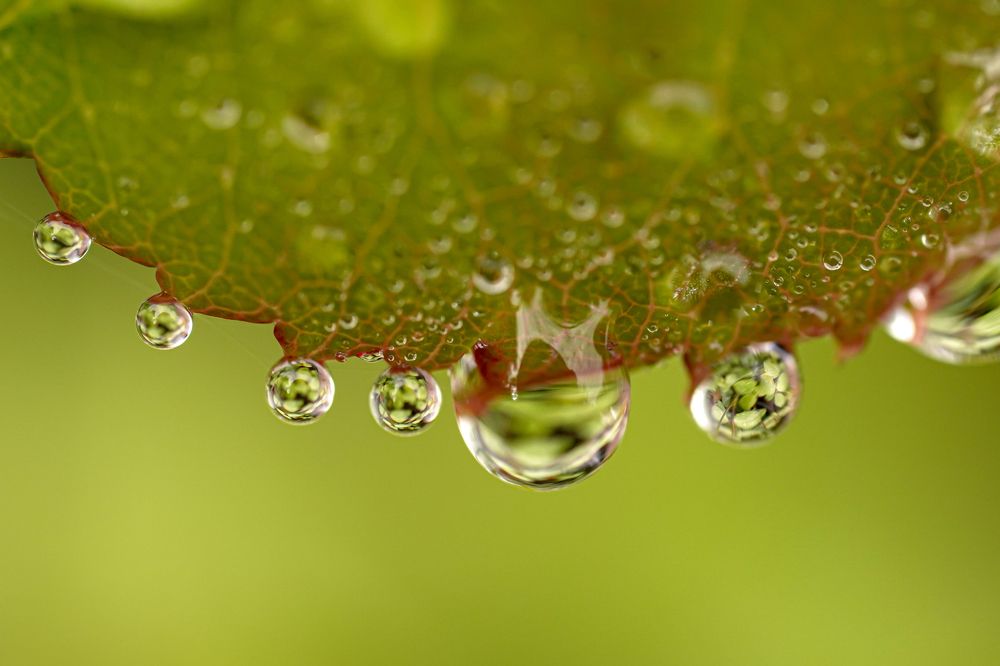 Photograph by Алфия Бугакова