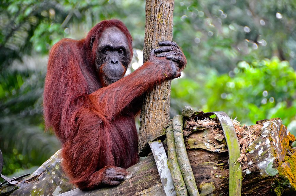 Photograph by Леонид Дрюченко